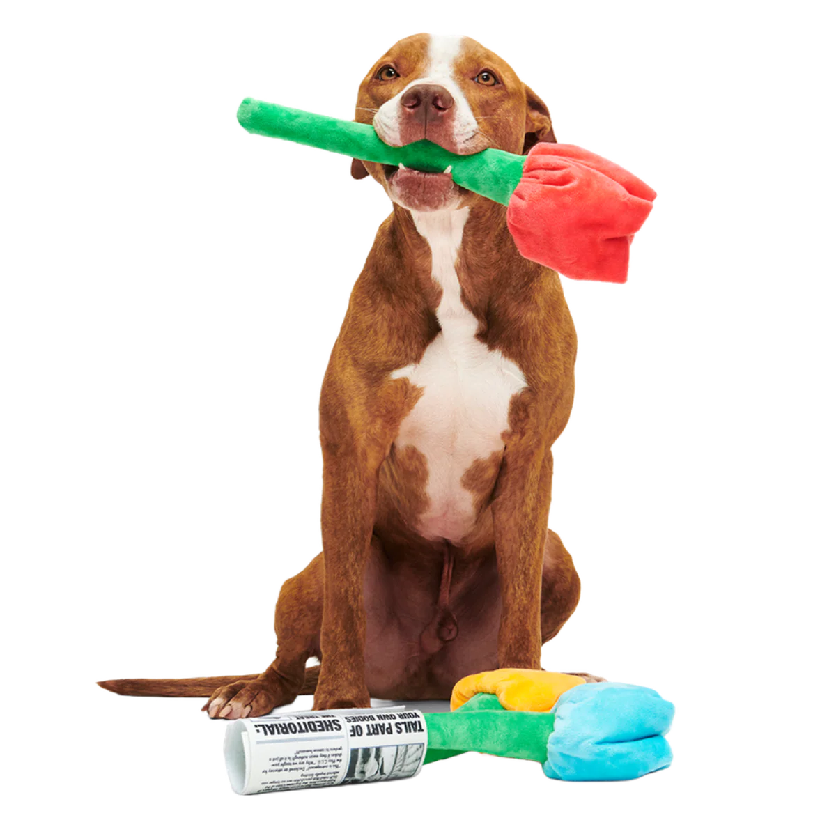 Cheer Up Boopquet Plush Tug + Multi-Part + Enrichment Dog Toy