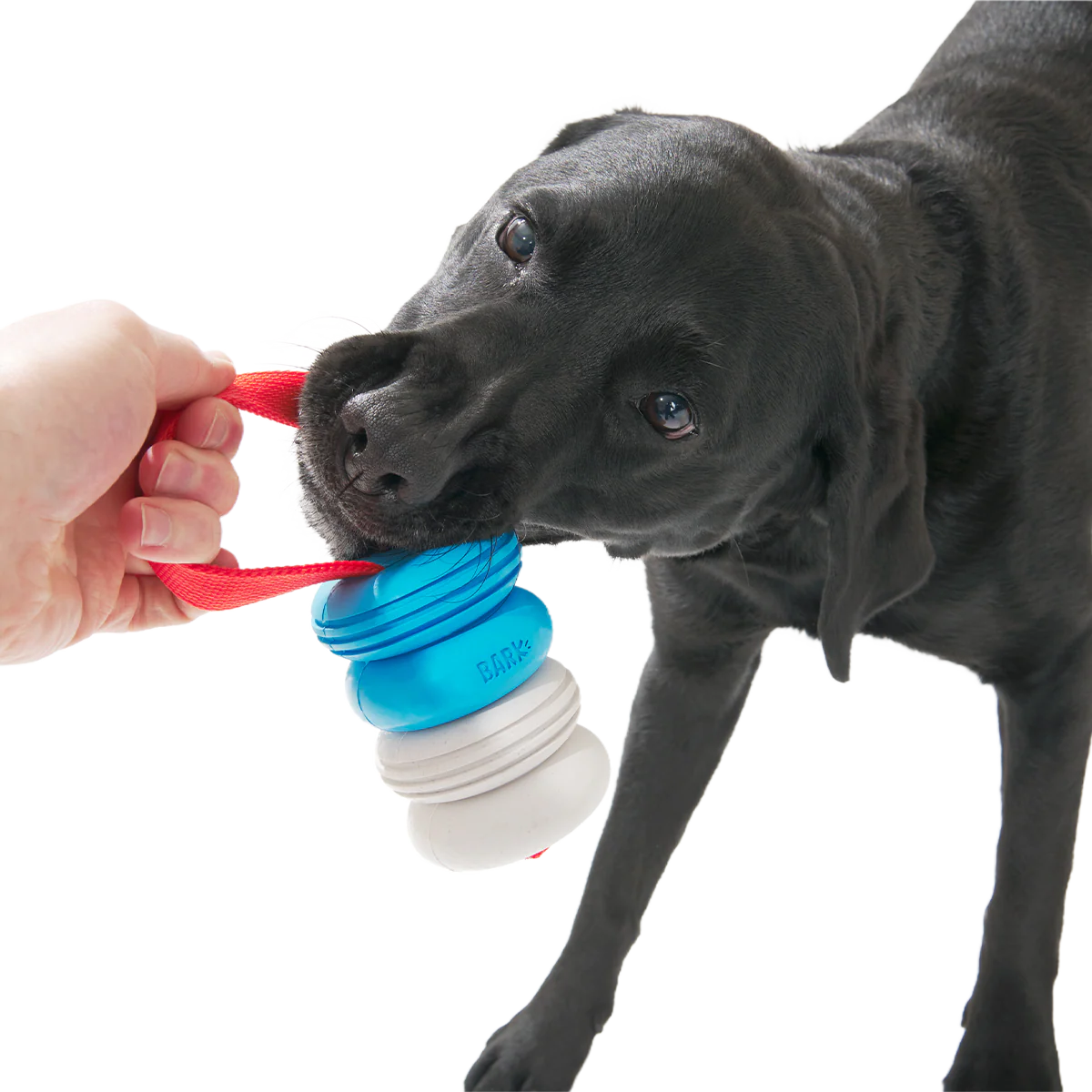 Swimming Pull Super Chewer Durable Tug Dog Toy