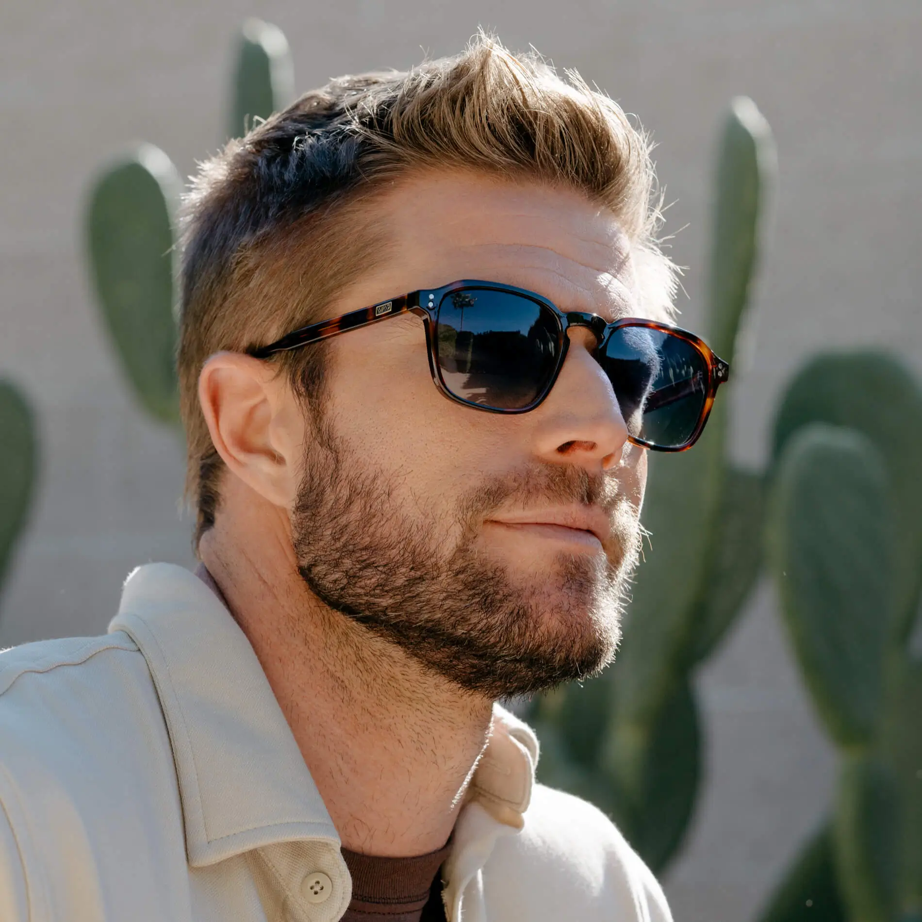 Francis | Polarized