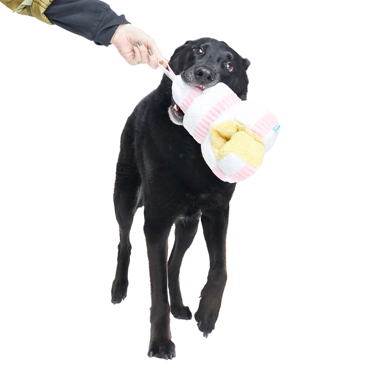 Holy Ratrimony Plush Multi-Part + Enrichment Dog Toy