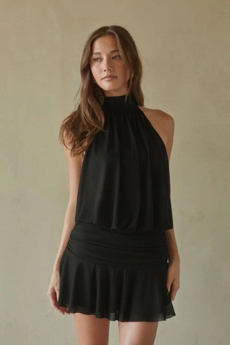 Journi High Neck Mesh Mini Dress - luluinthesky