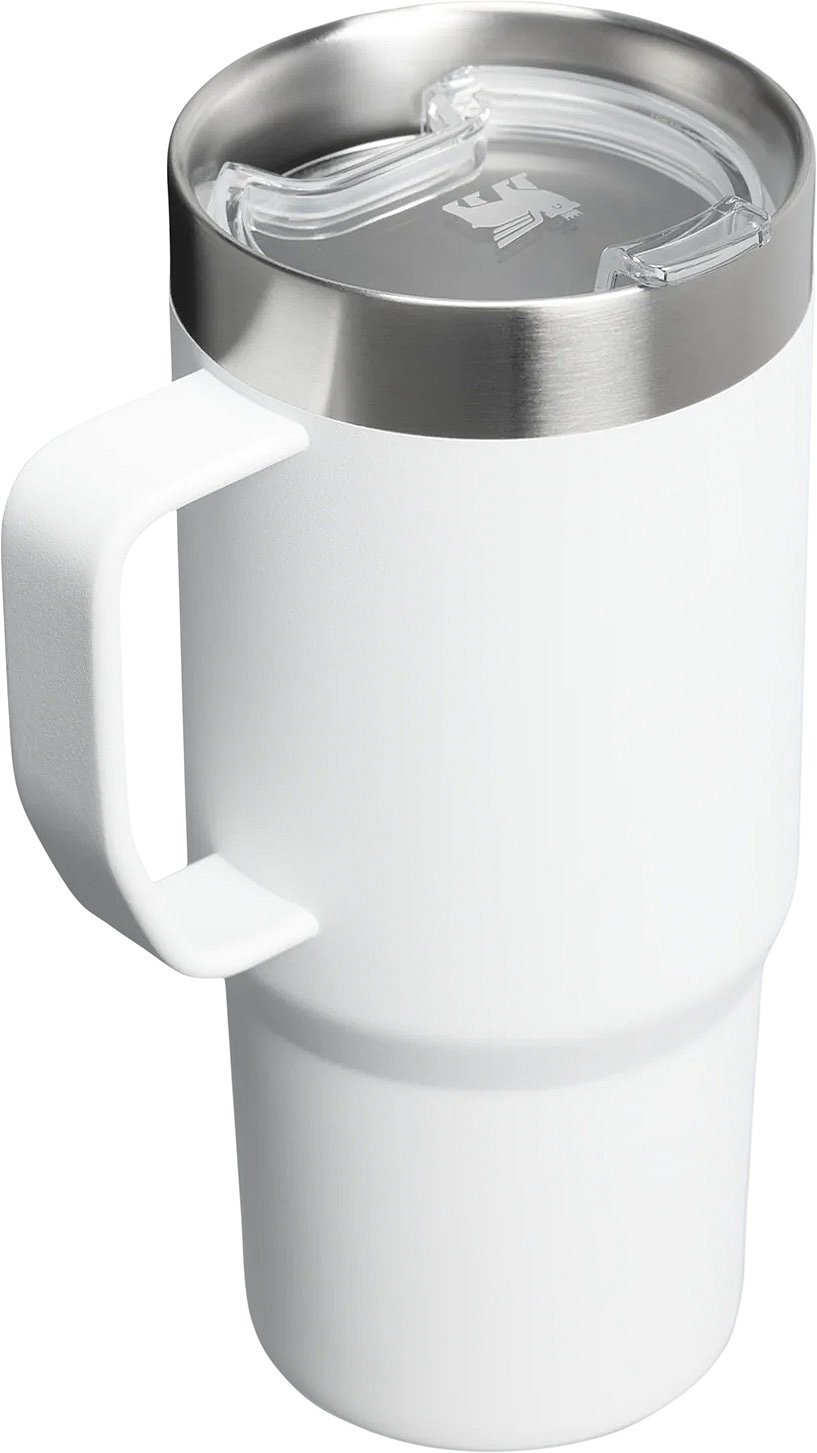 Stanley 16 oz. Everyday Suburban Mug - Frost