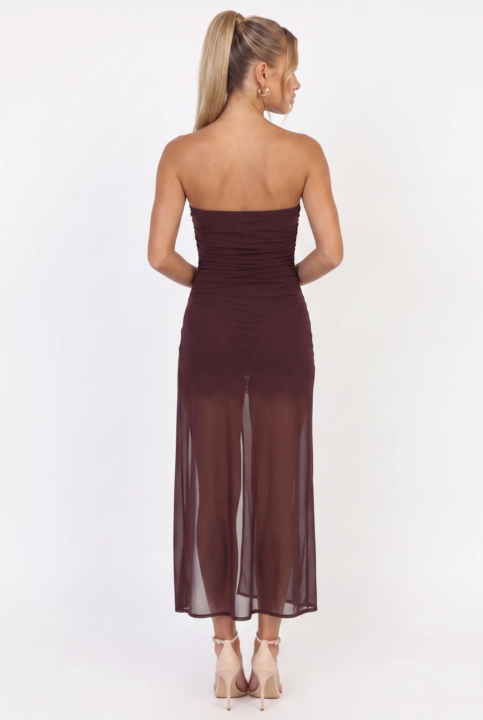 Calanthe Mesh Maxi Dress