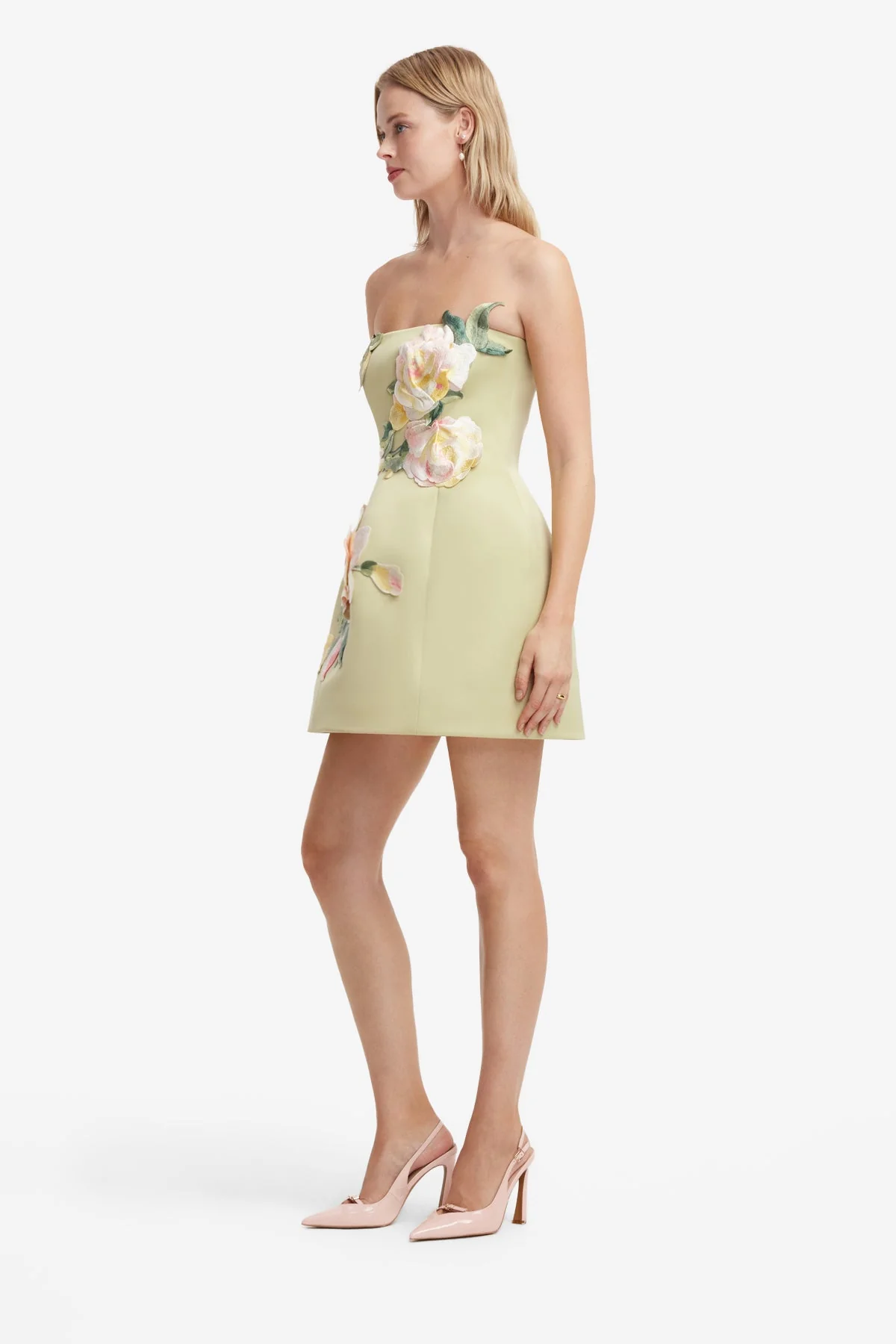 Roselle Embroidered Bustier Mini Dress - Pistachio Rose Print - luluinthesky