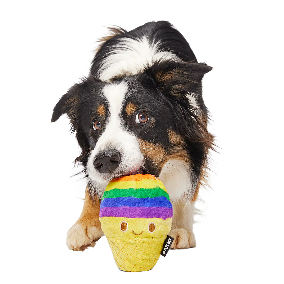 Rainbow-wow Sherbert Super Chewer Durable 2-in-1 Dog Toy