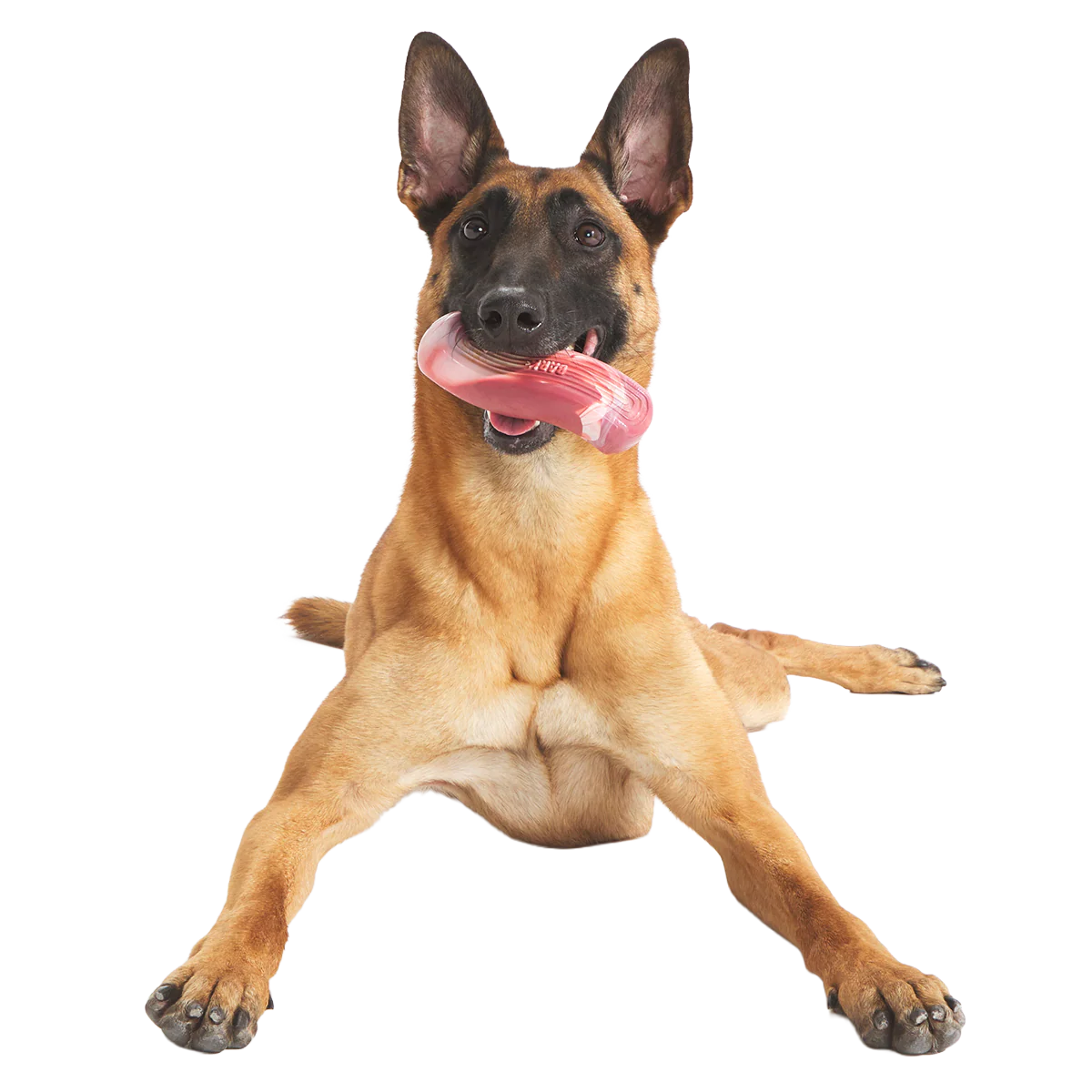Tough Break Bacon Super Chewer Durable Gnaw Dog Toy