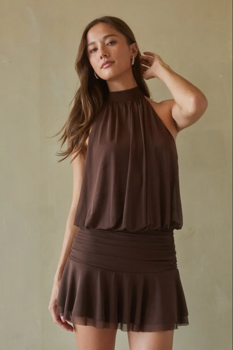 Journi High Neck Mesh Mini Dress - luluinthesky