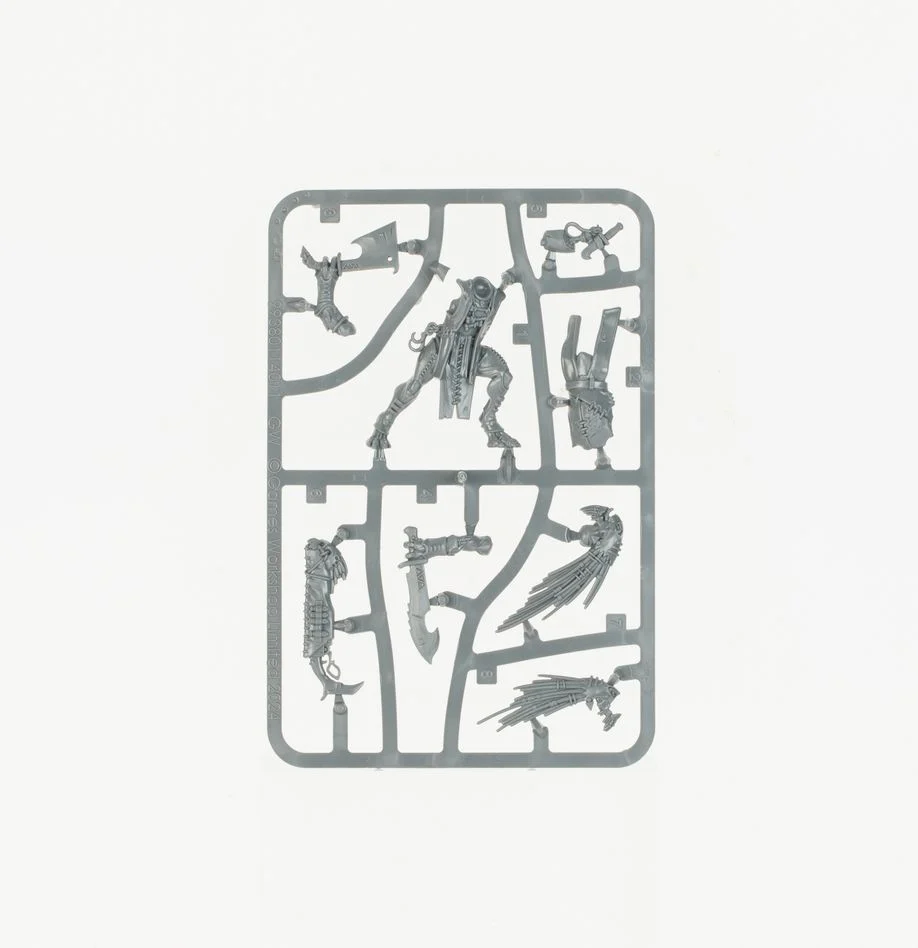 Warhammer 40,000 T'au Empire Army Set: Kroot Hunting Pack