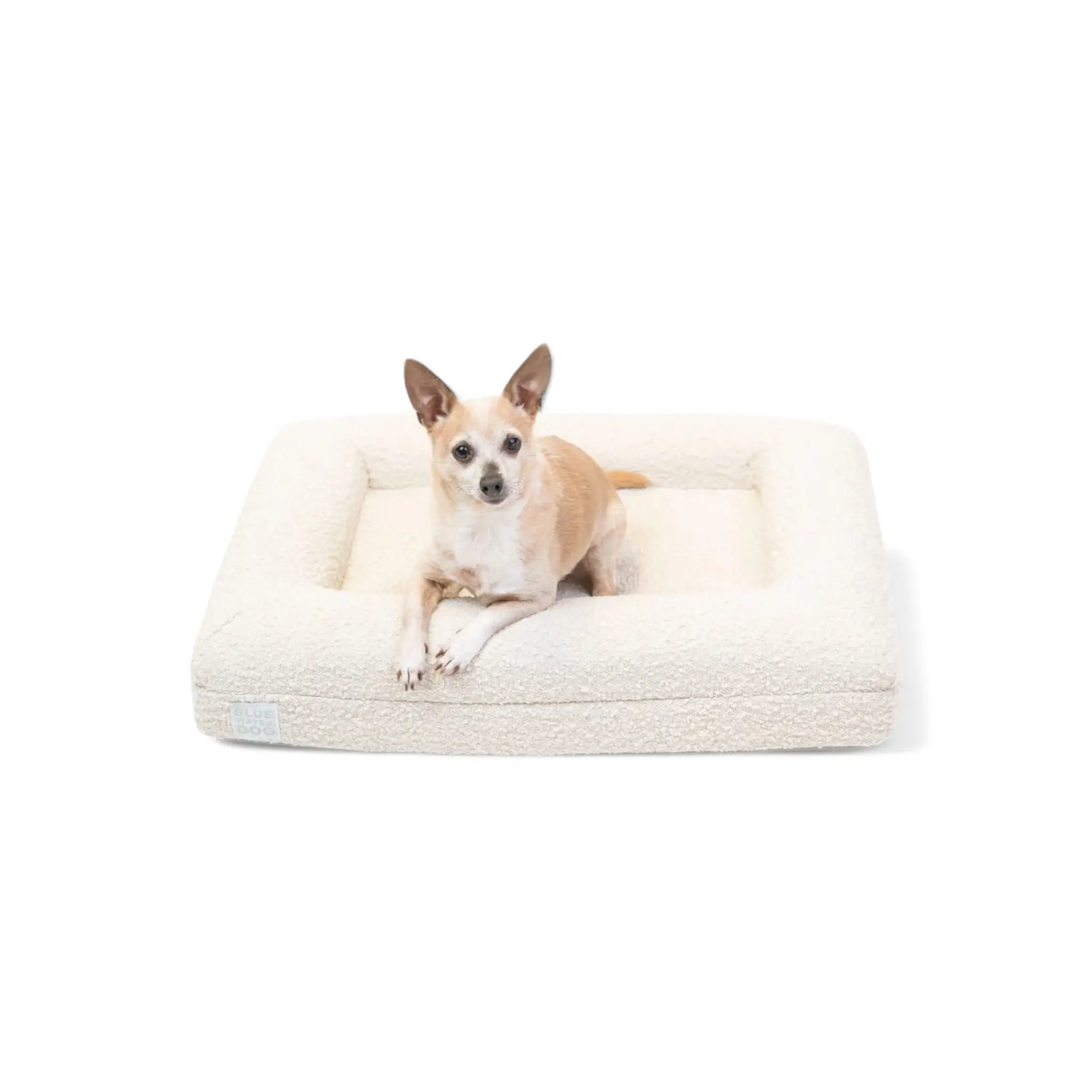 Small Bouclé Orthopedic Dog Bed (Bolster, Cloud)