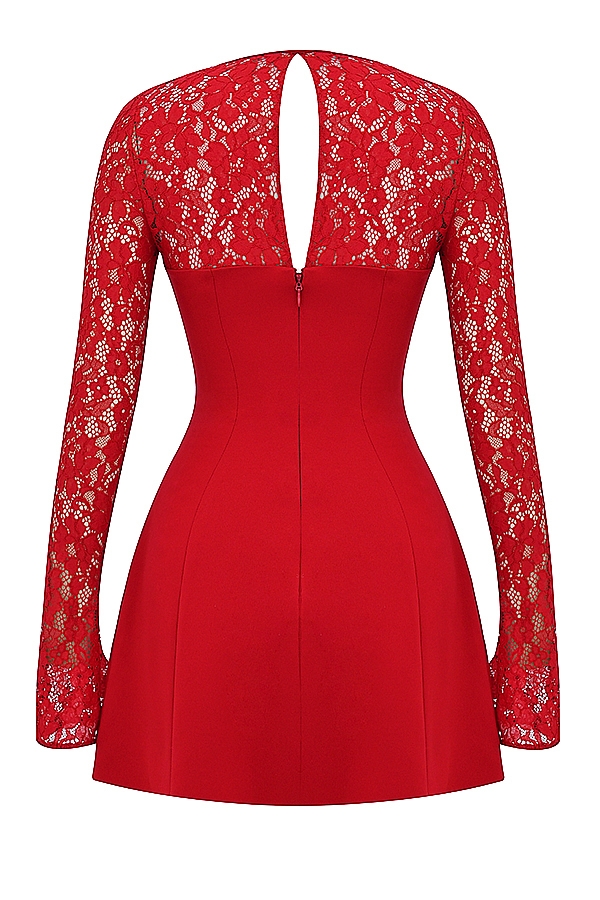 Red Rose Satin And Lace Mini Dress