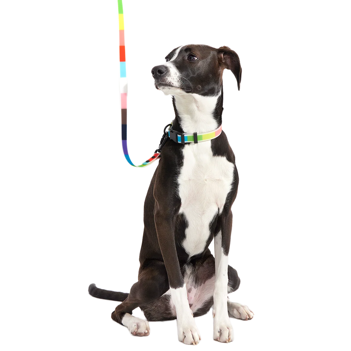Pride Walking Gear Bundle