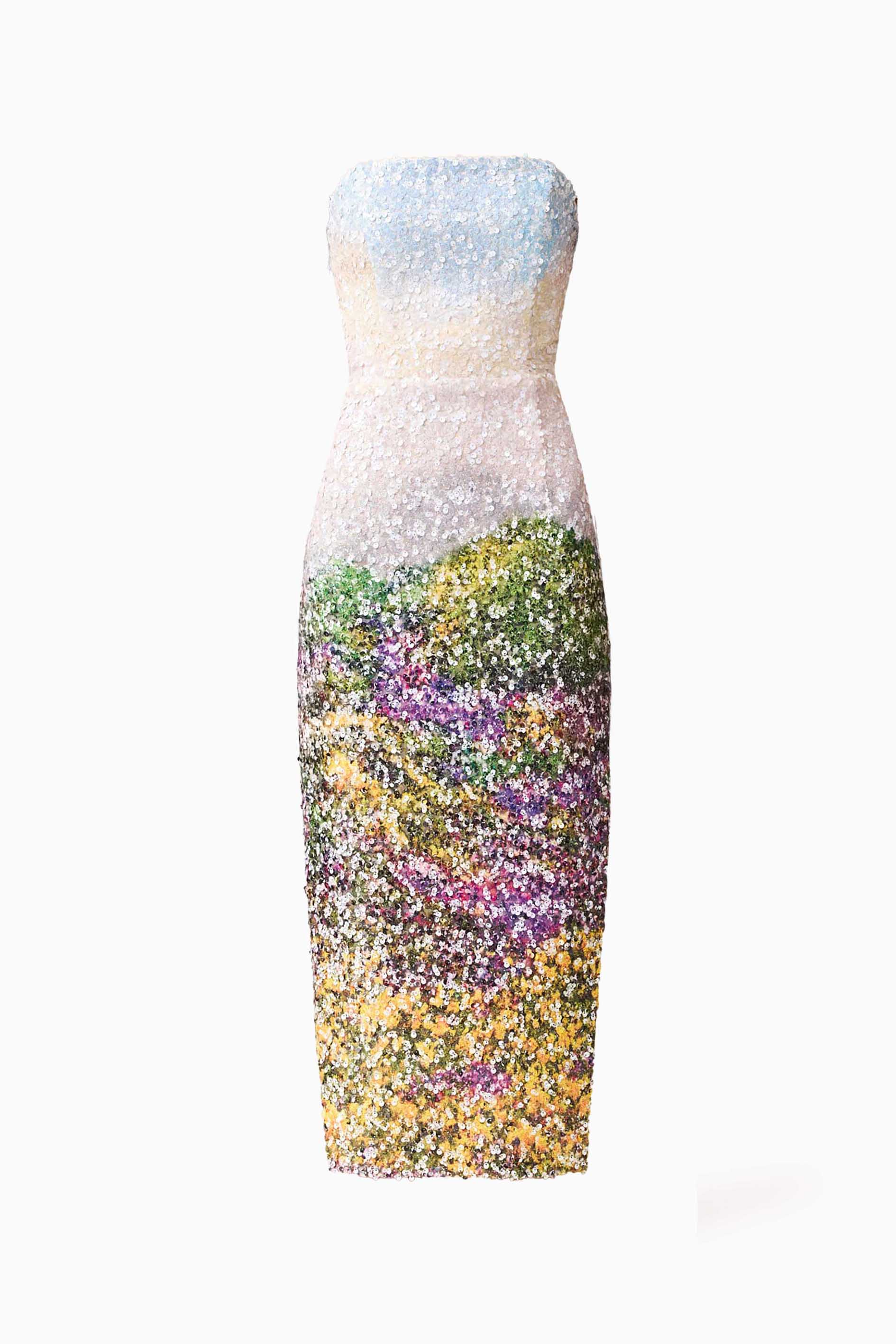 Arden Strapless Midi Dress in Multi Ombre