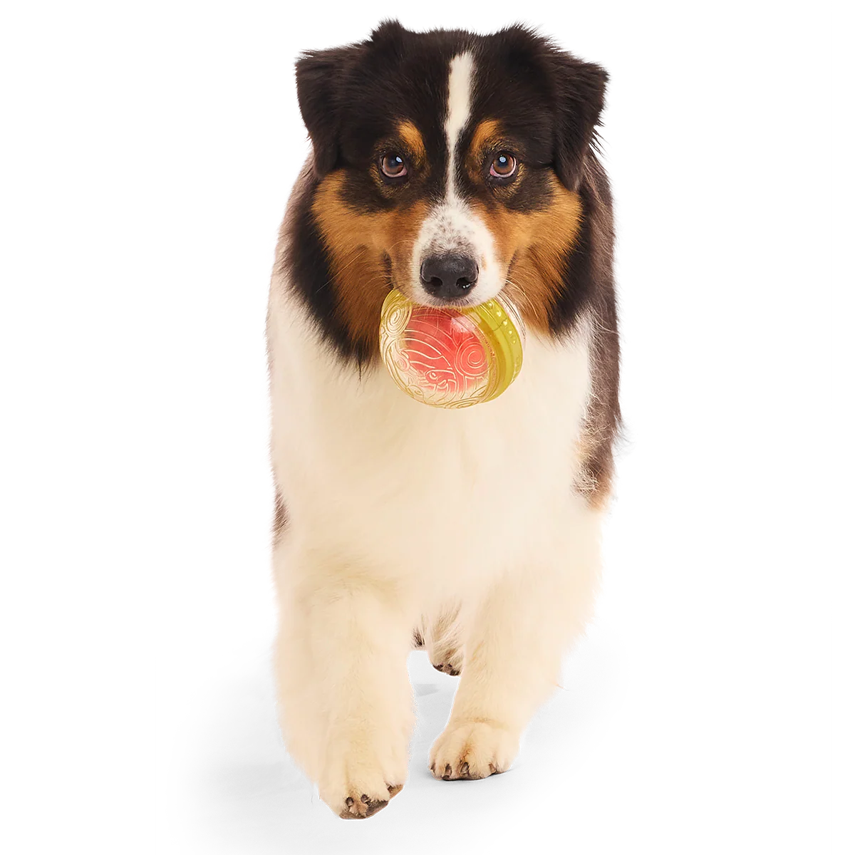 Remembrall™ Super Chewer Durable Fetch Dog Toy