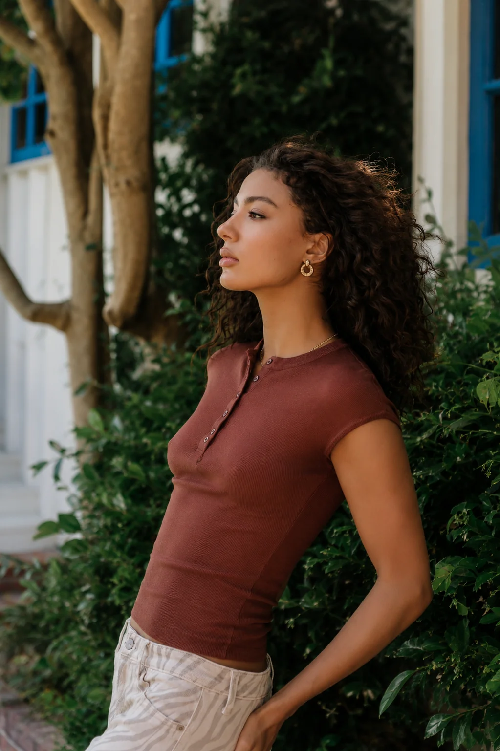 Rustin Sheer Top in Brown