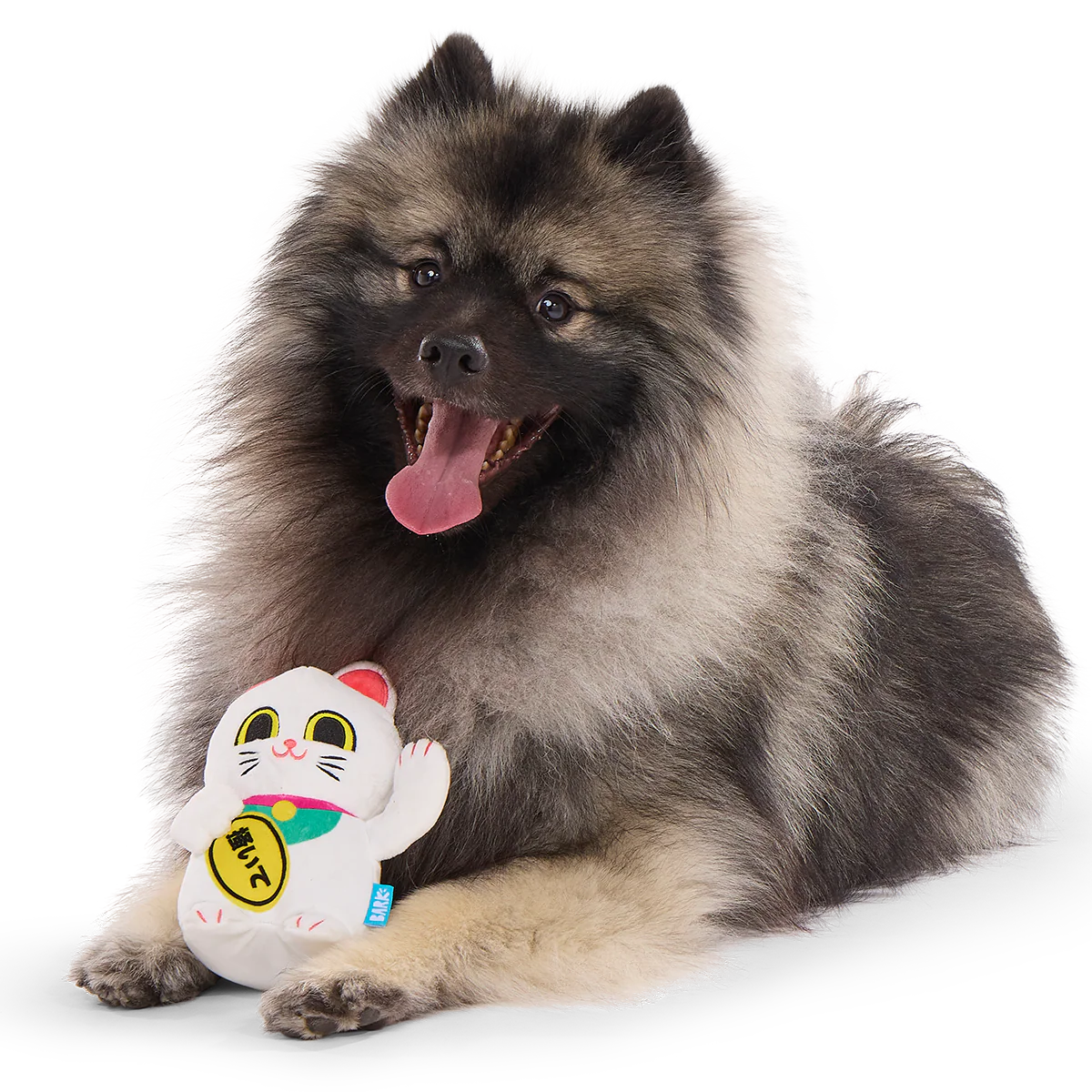 Maneki Mariko Plush Tug Dog Toy