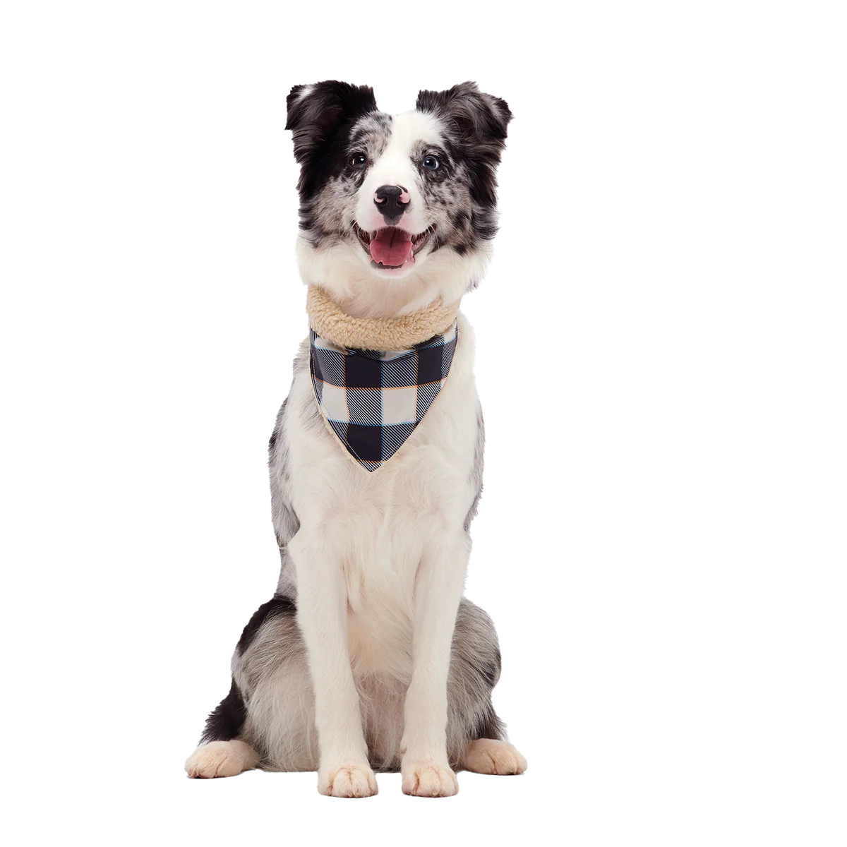 Plaid To The Bone Dog Bandana