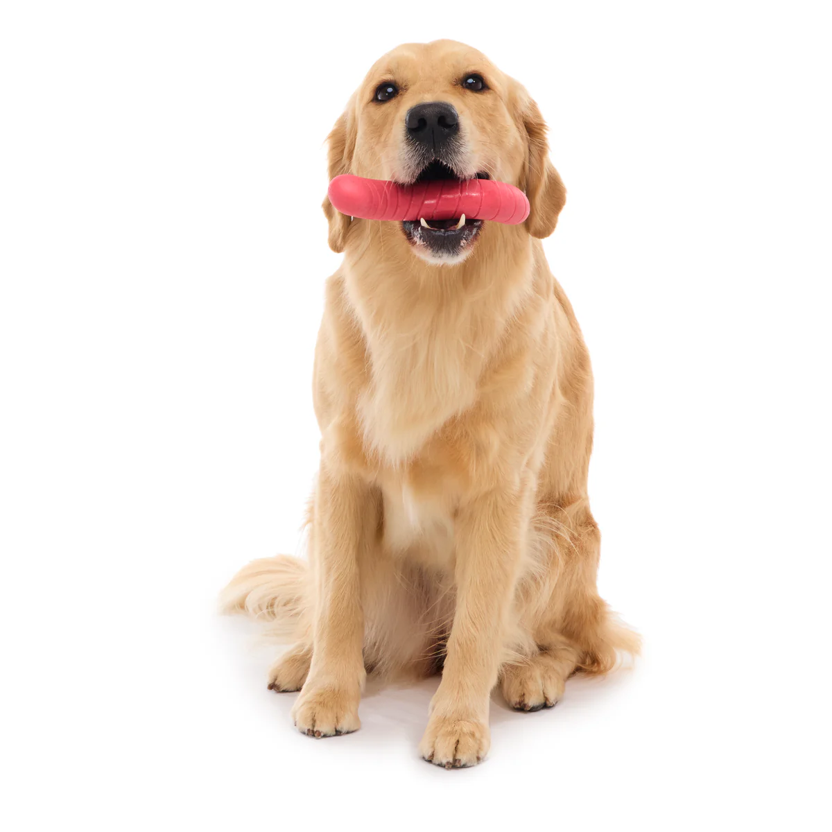 Turf Worm Durable Super Chewer Gnaw Dog Toy