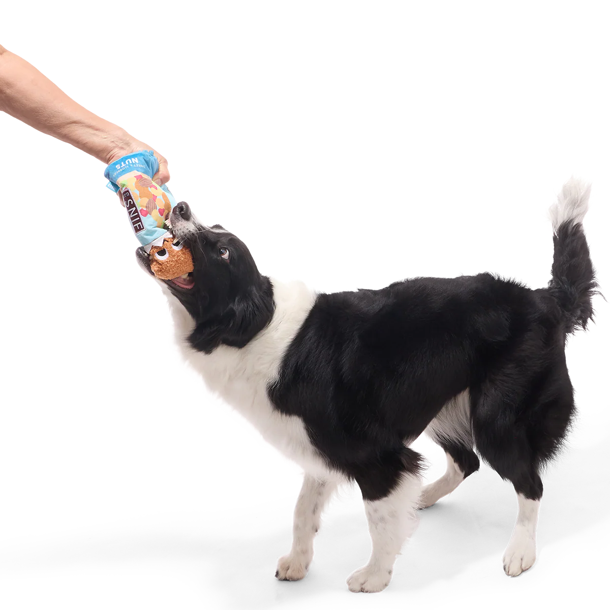 Sniff Bar Plush Tug Dog Toy