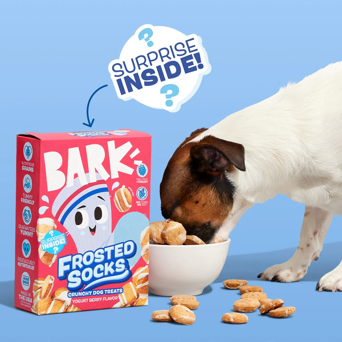 Frosted Socks™ Yogurt Berry Flavor Vegetarian Cereal Dog Treats, 24 Oz