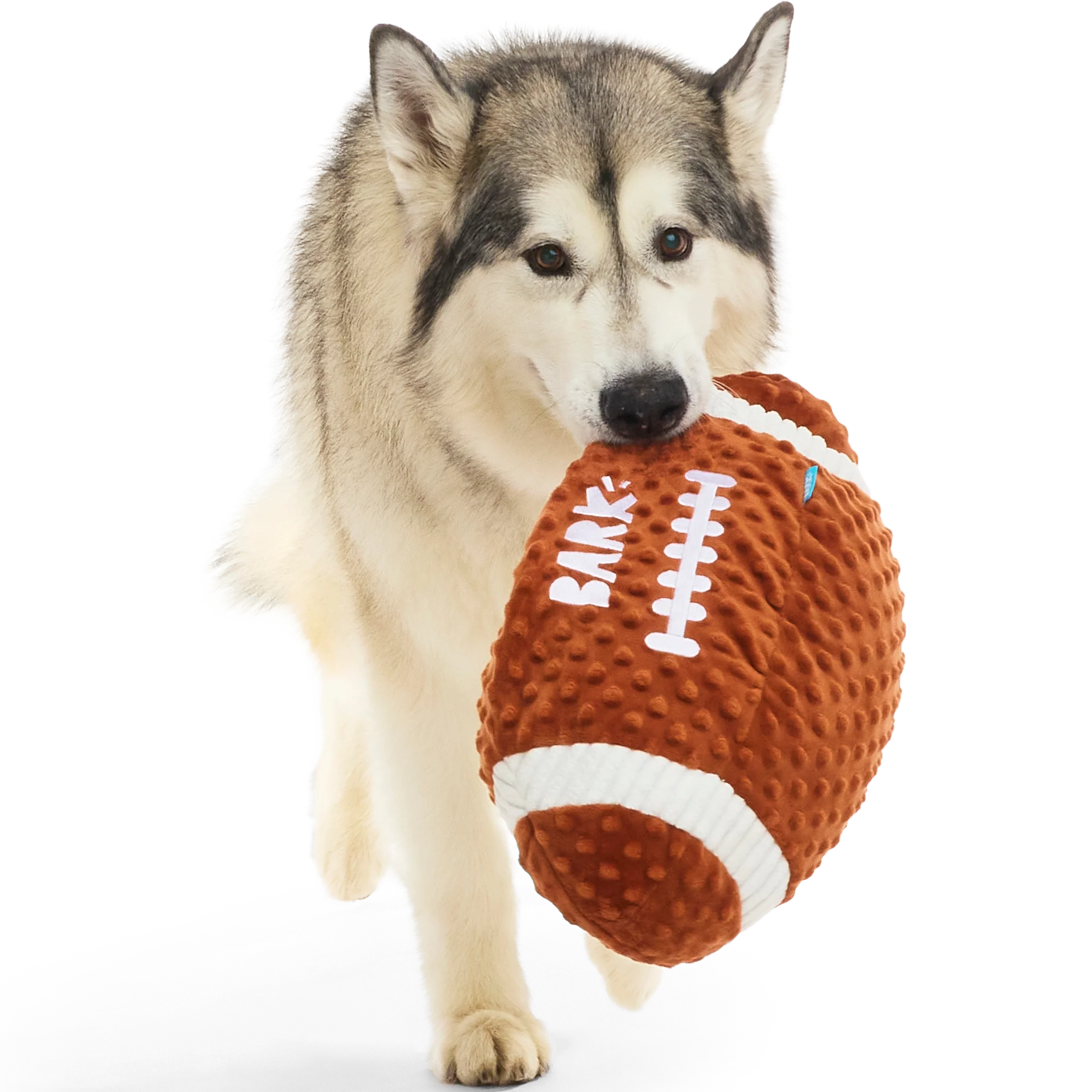 Wide Retriever Plush Fetch + Extra-Large Dog Toy