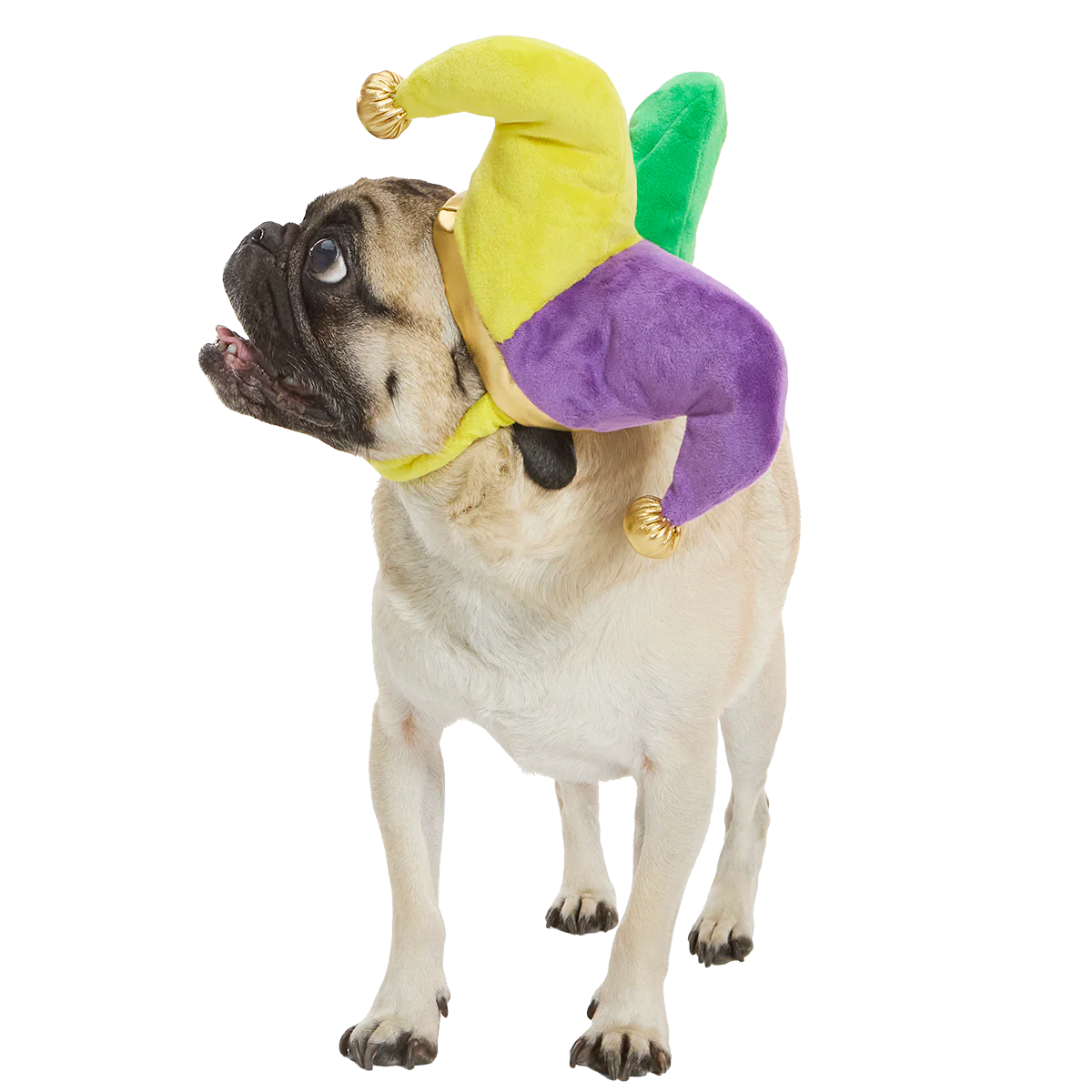 Fat Chewsday Hat Plush Wearable Tug Dog Toy