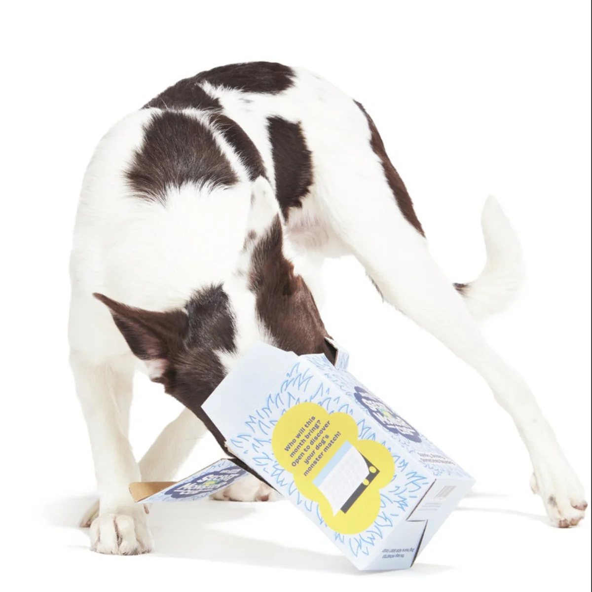 Secret Monster Club, Super Chewer Durable 2-in-1 Rip and Reveal Monthly Dog Toys