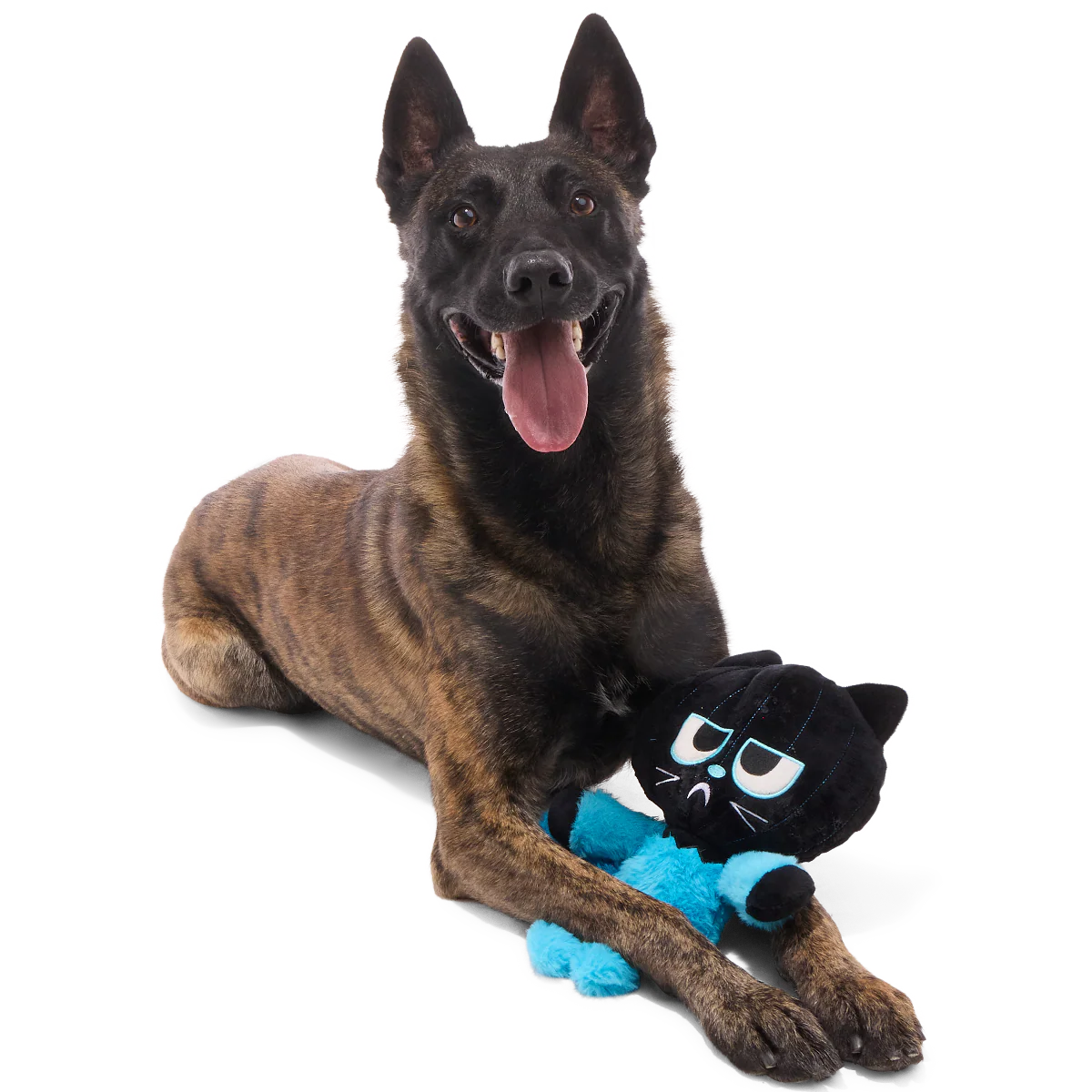 The Purrfect Crime Plush 2-in-1 + Tug Dog Toy