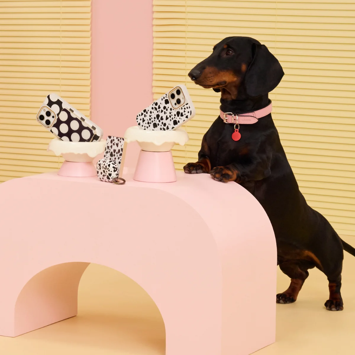 Pet Me - Samsung Galaxy S25 Plus ケース