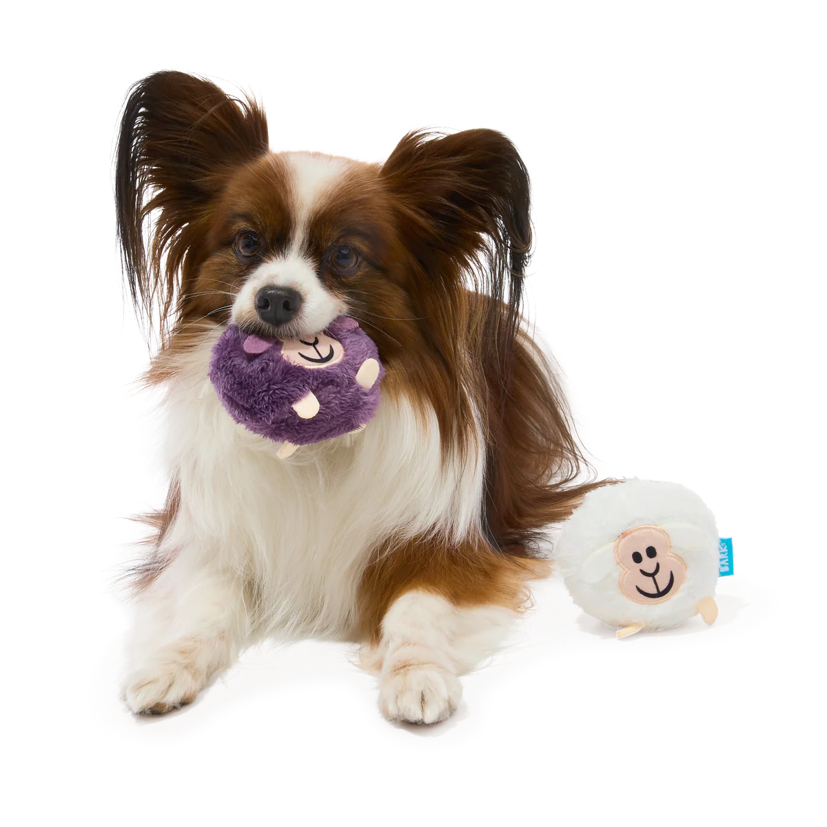 Good Sheep, Baa Sheep Plush Multi-Part Fetch Dog Toy