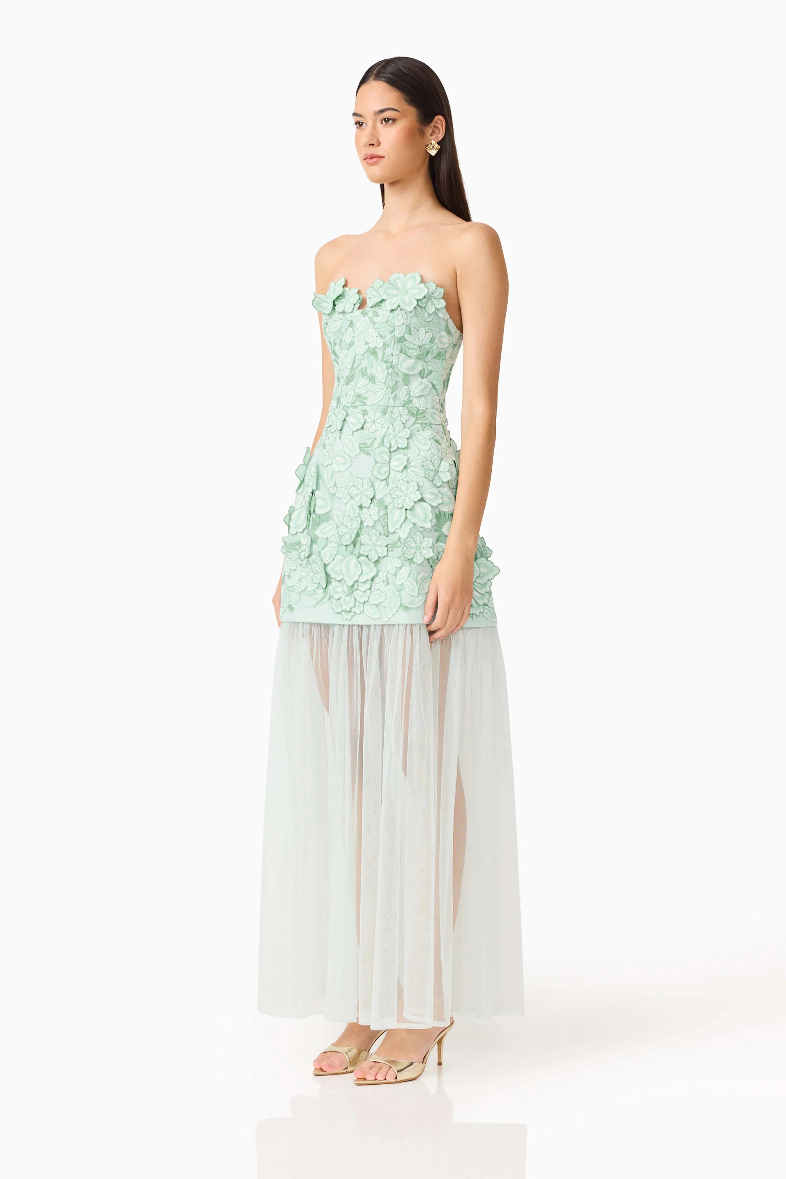 Roseate Strapless Maxi Dress in Mint Green