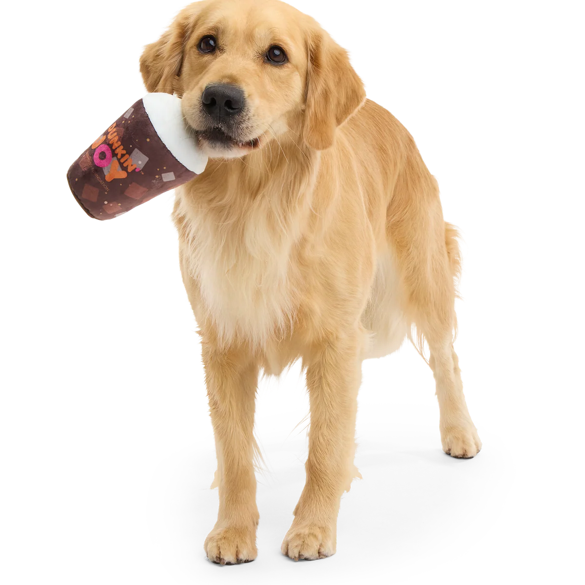 Dunkin'® Cold Brew Plush Dog Toy