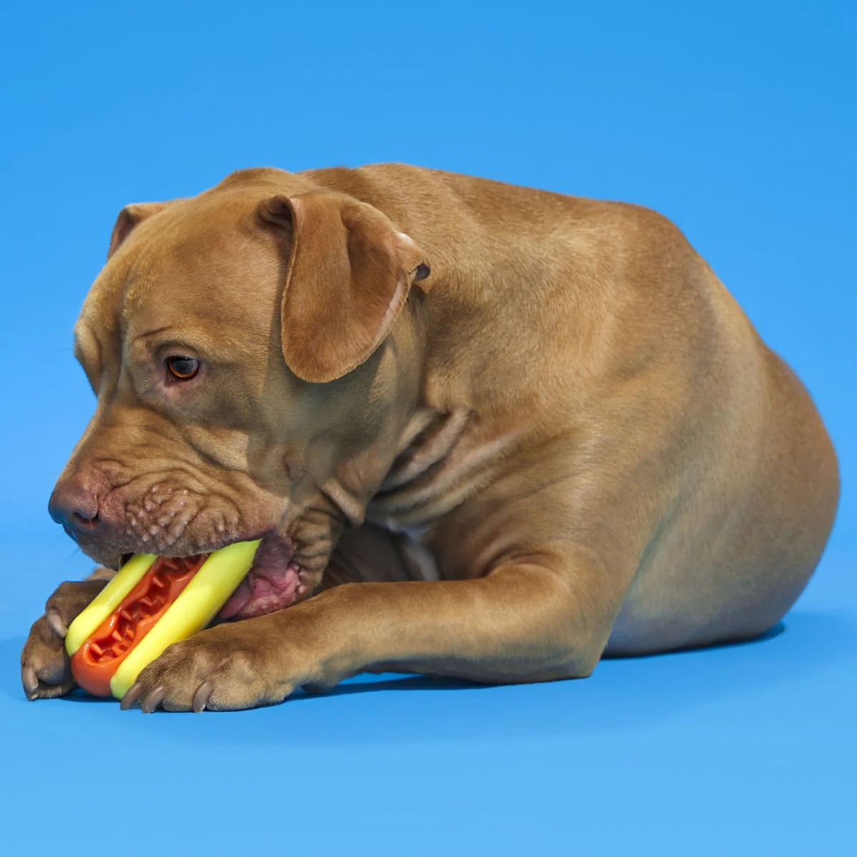Treat Meat Hotdog Super Chewer Durable Enrichment Dog Toy
