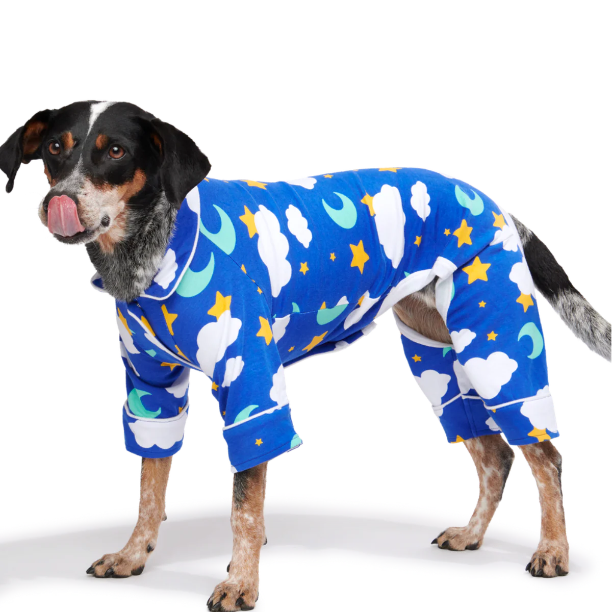 Slumber Party Dog Pajamas