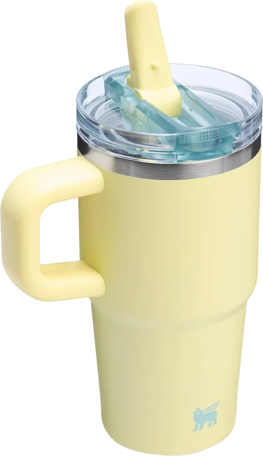 Stanley 20 oz. Quencher ProTour Flip Straw Tumbler - Pomelo