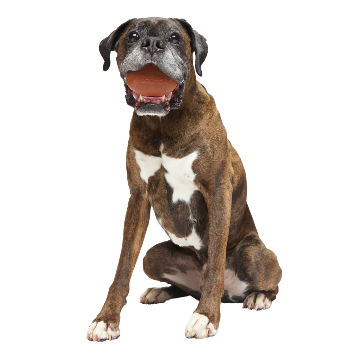 Chompionship Football Super Chewer Durable Fetch Dog Toy