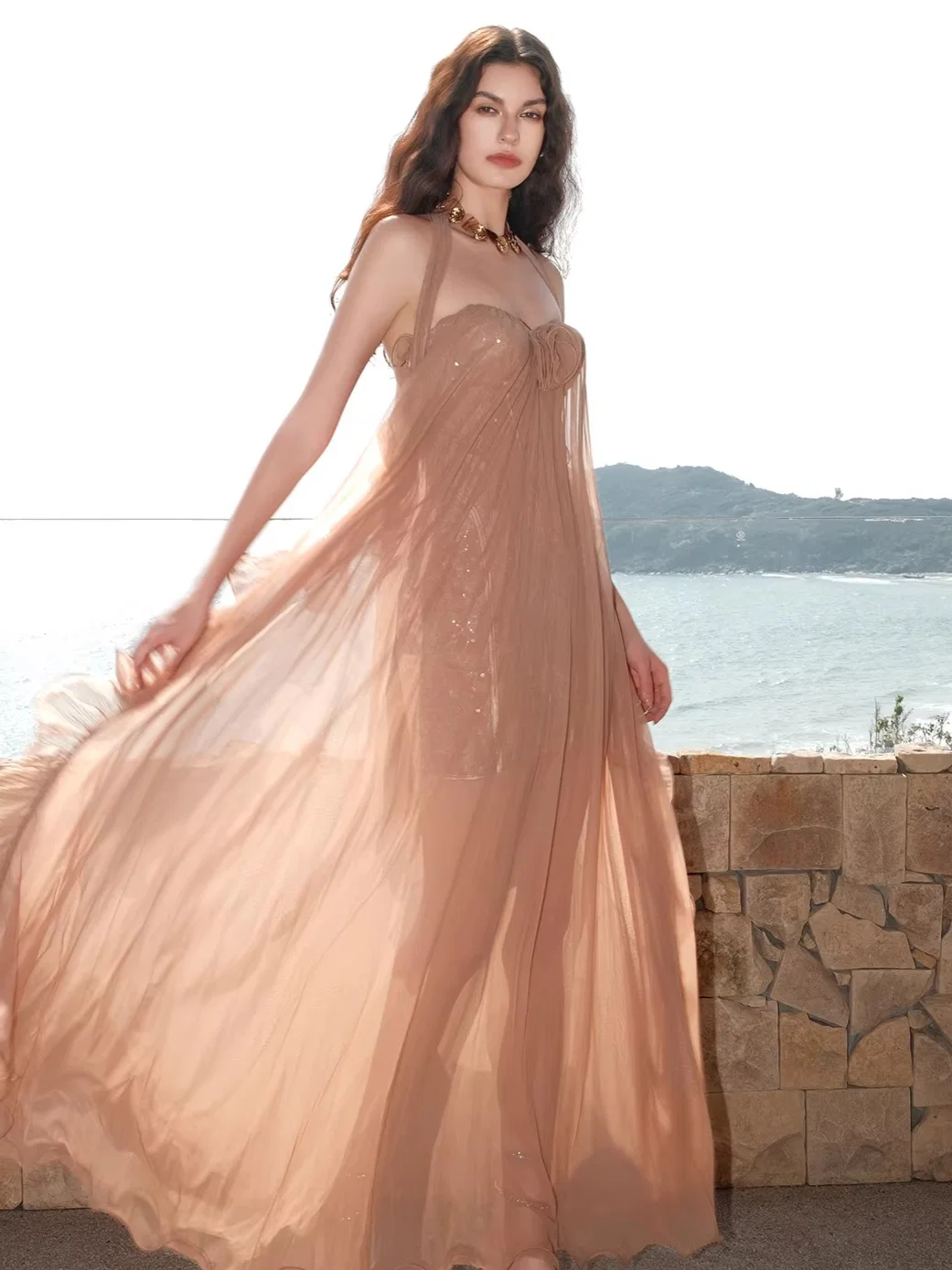 Mesh Halter Backless Strapless Maxi Dress