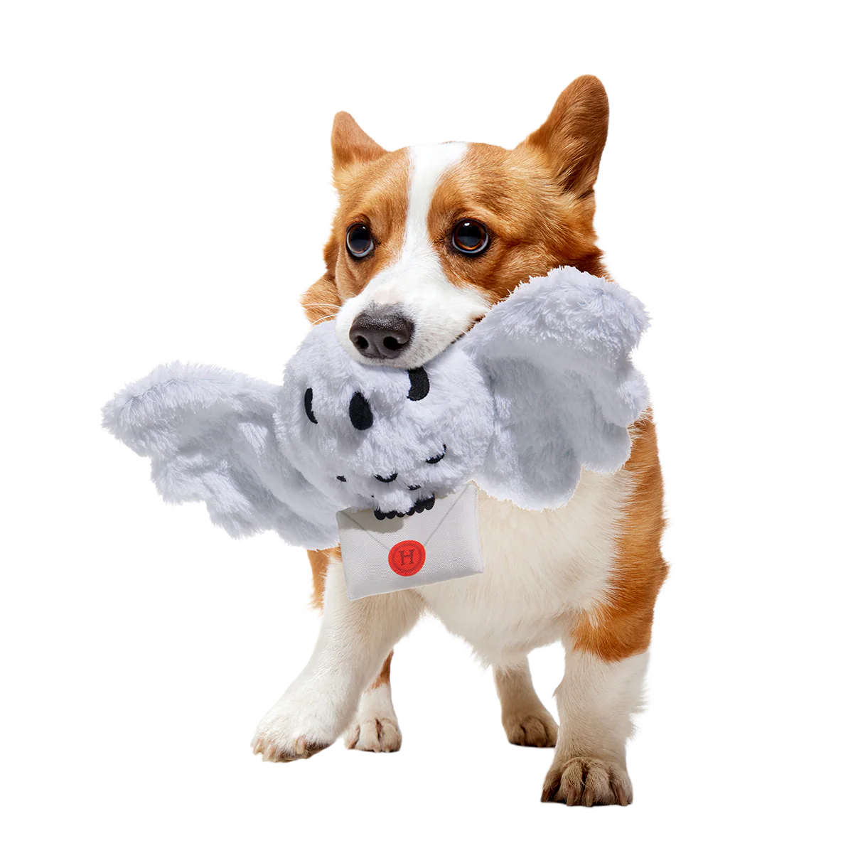 Hedwig™ Plush Tug Dog Toy