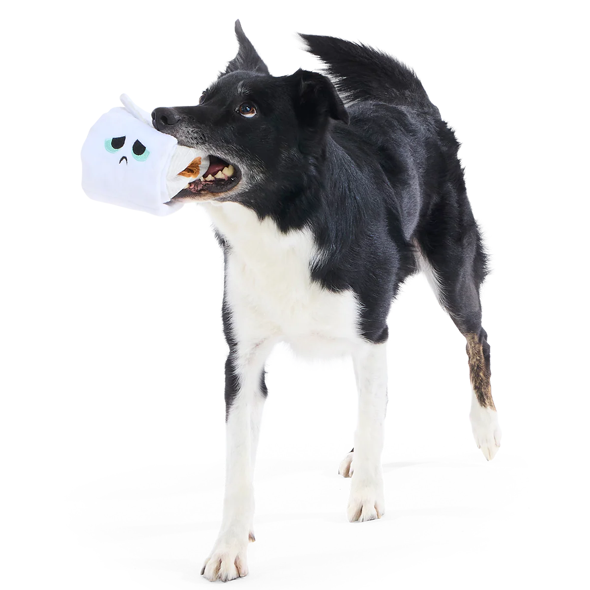 Shred Head Fred Plush Enrichment + Tug Dog Toy