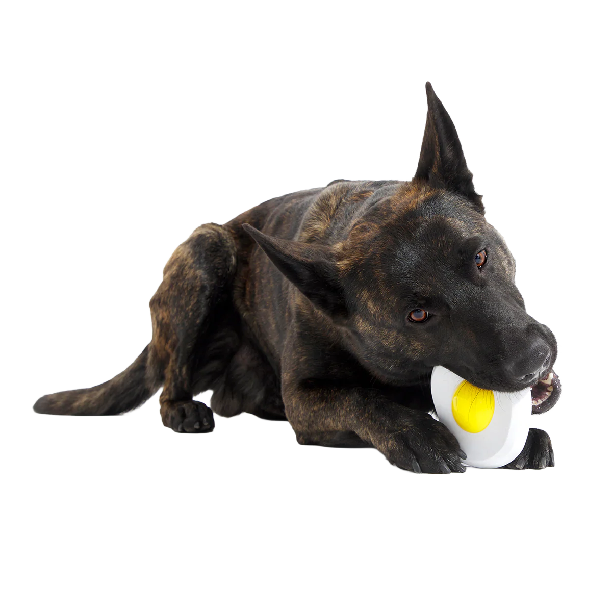 Egg Over Hard Super Chewer Durable Gnaw Dog Toy