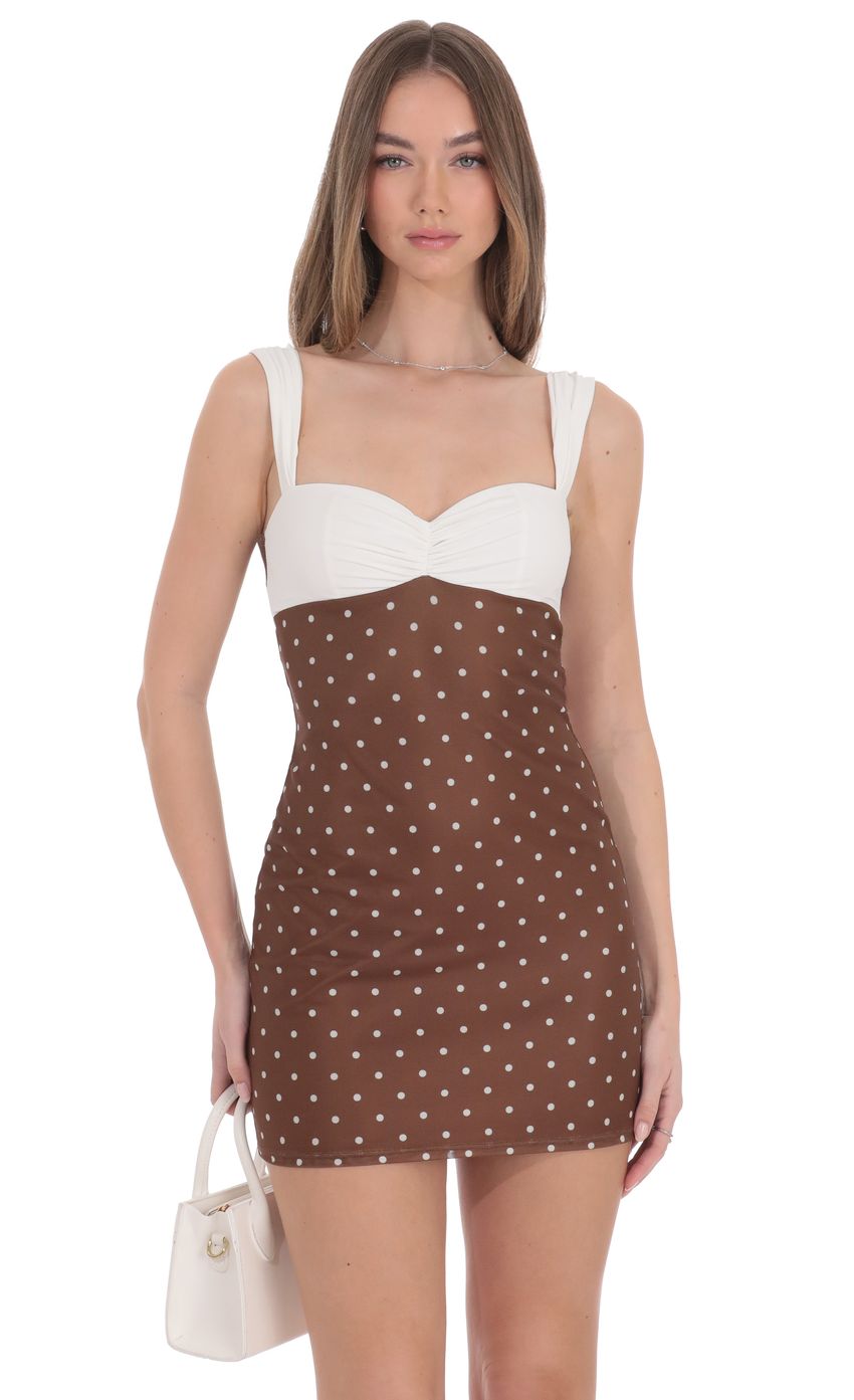 Two-Tone Polka Dot Mesh Bodycon Dress in Brown