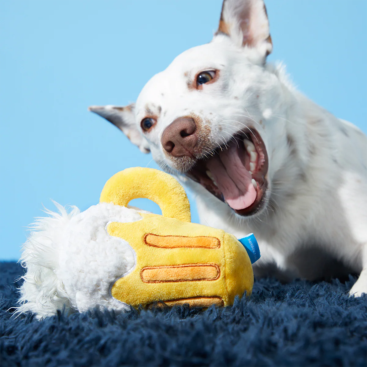 Hair of the Dog Plush 2-in-1 + Tug Dog Toy