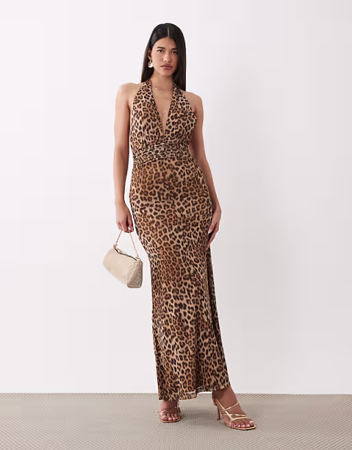 Bardot Elera mesh plunge halter neck maxi dress in leopard print