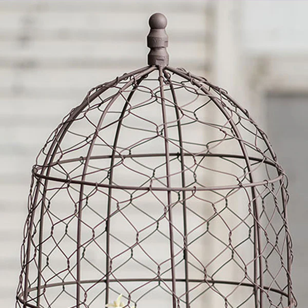 Chicken Wire Cloche with Terra Cotta Pot