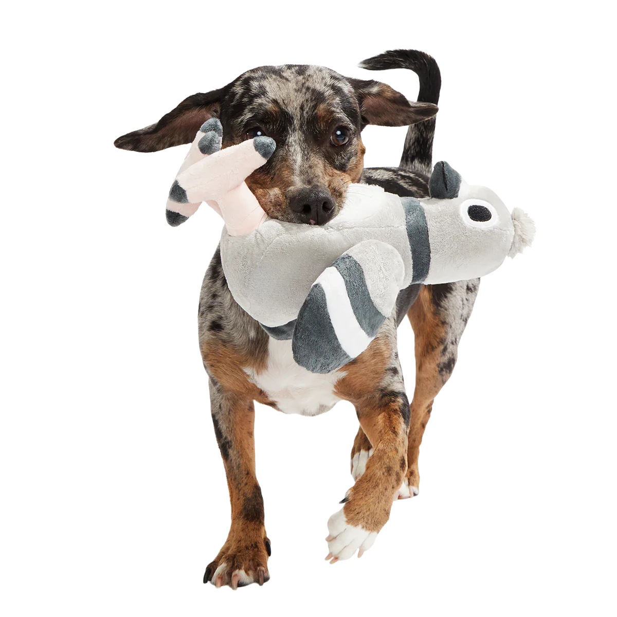 Flappin' Flossie Plush Tug Dog Toy