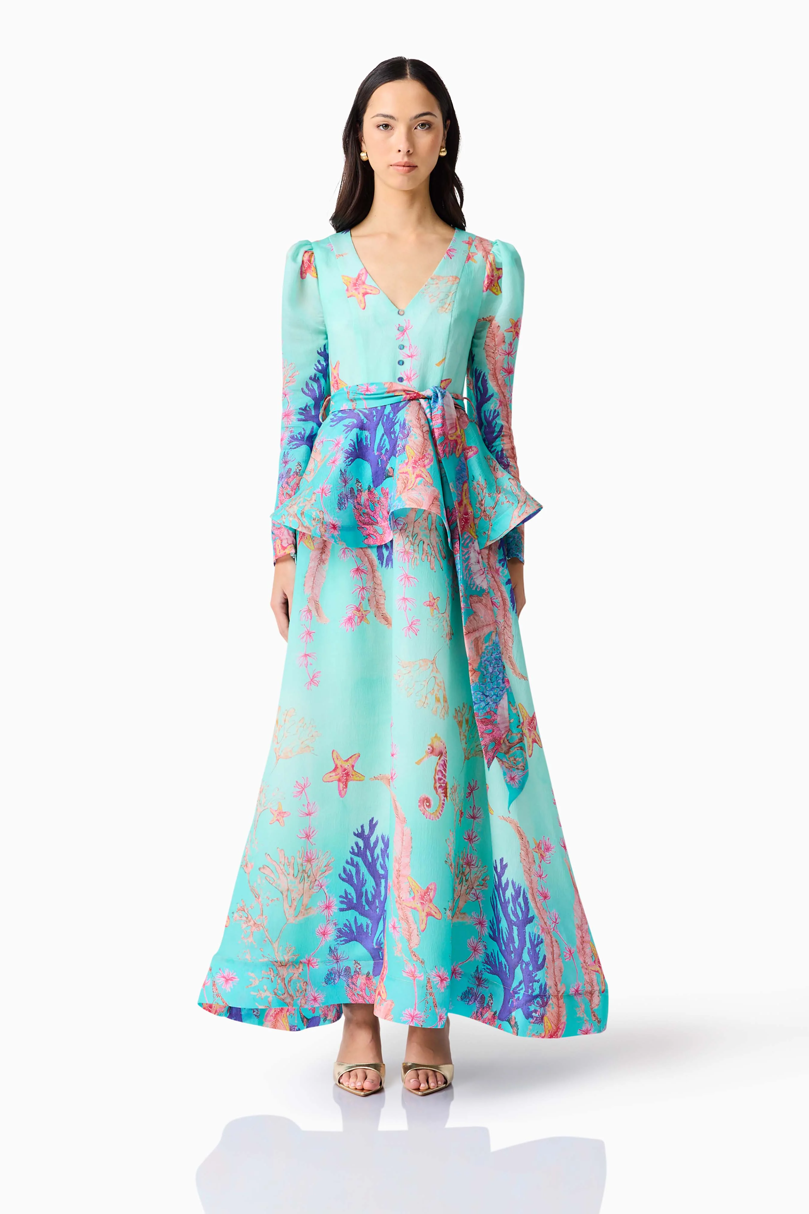 Coral Long Sleeve Maxi Dress in Blue Multi
