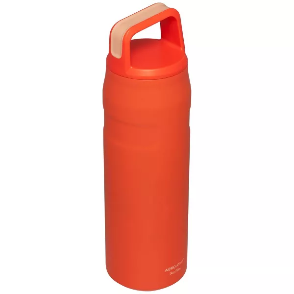 Stanley 24oz Stainless Steel IceFlow Aerolight Water Bottle Cap and Carry
