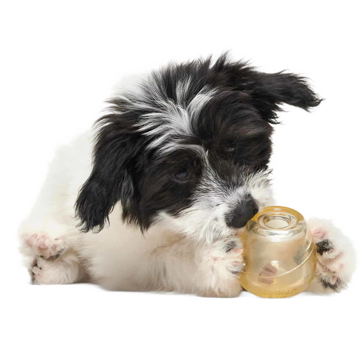 Tipsy Toast Glass Super Chewer Durable Enrichment Dog Toy