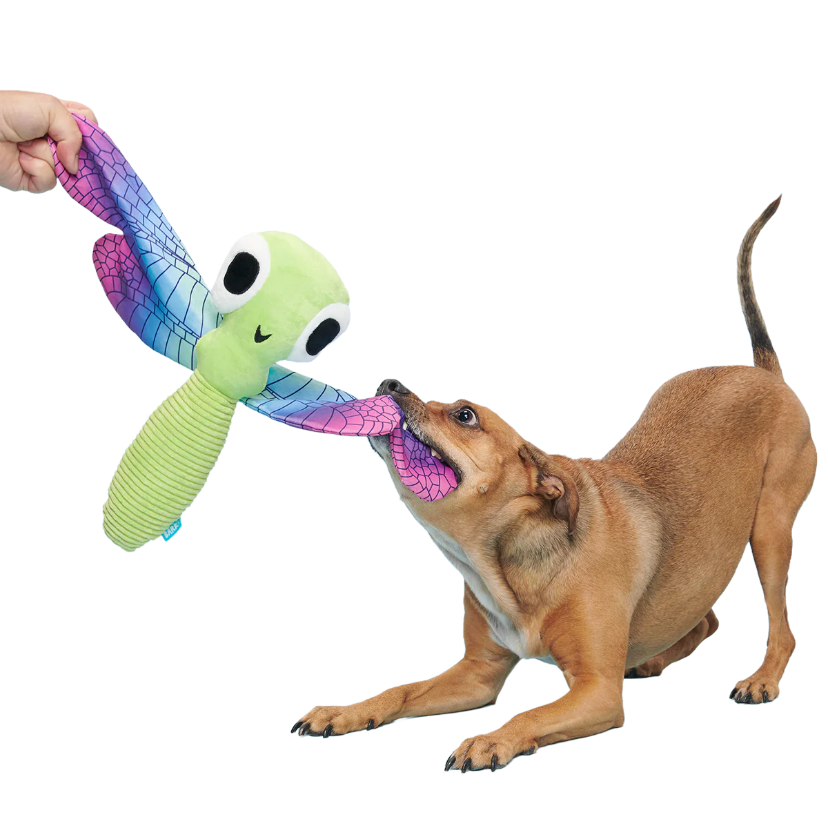 Dragonfly Guy Plush Tug + Extra-Large Dog Toy