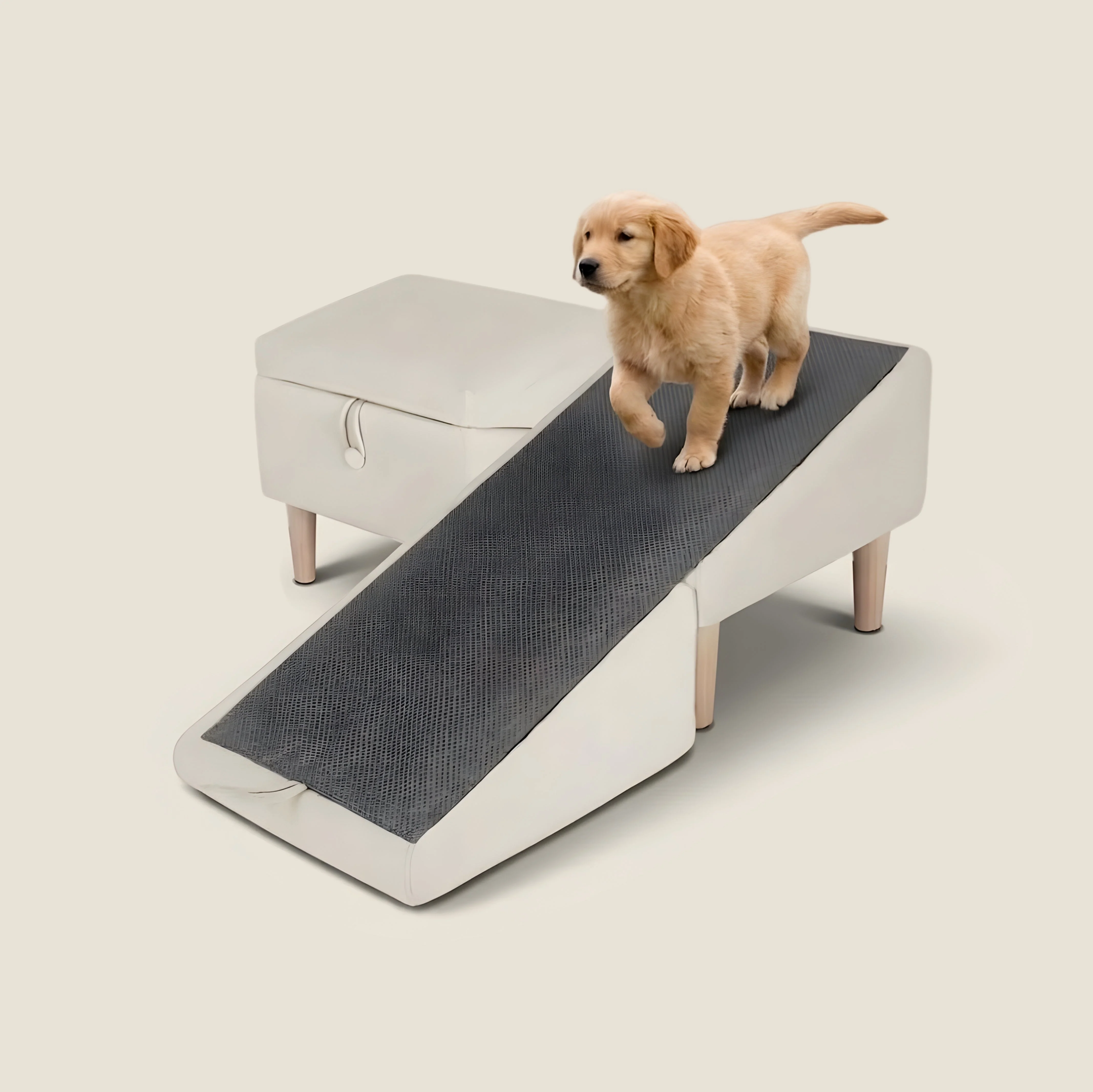 2-in-1 Dog Ramp & Ottoman