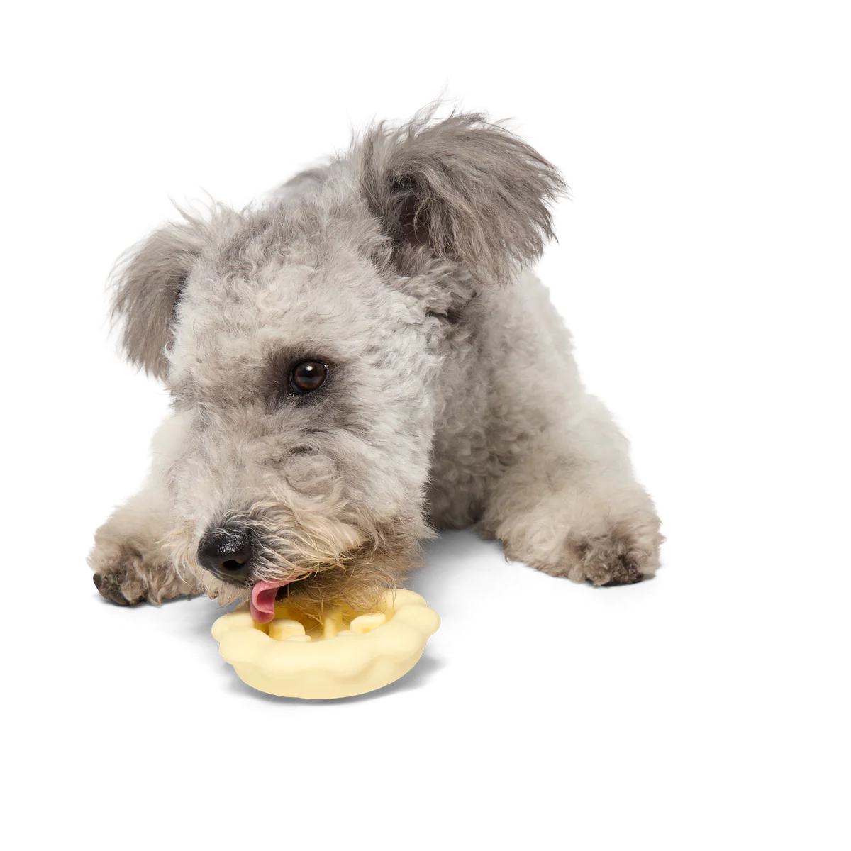 Plump Pumpkin Pie Durable Super Chewer Enrichment Dog Toy